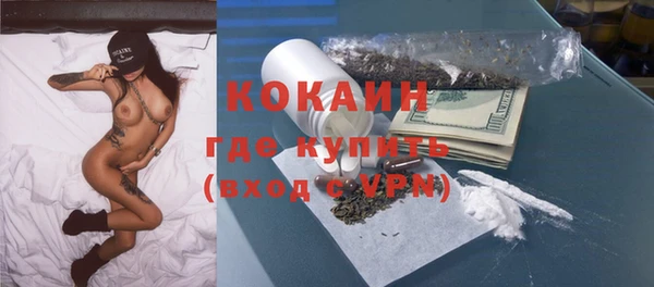 твердый Богданович