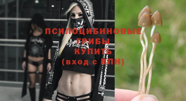 метадон Богородицк