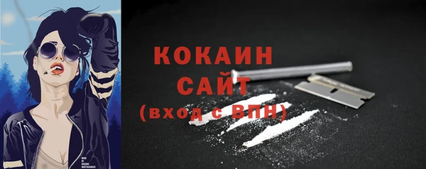 твердый Богданович