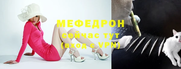 твердый Богданович