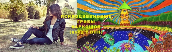 метадон Богородицк