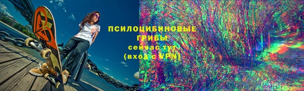 бошки Богородск