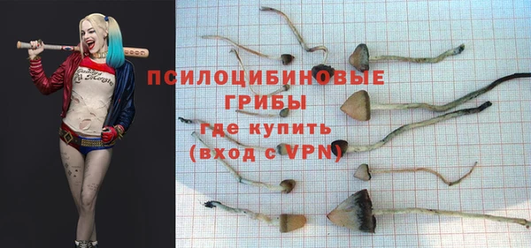 твердый Богданович