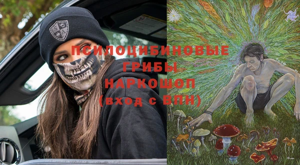 твердый Богданович
