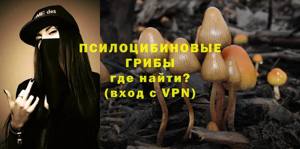 метадон Богородицк