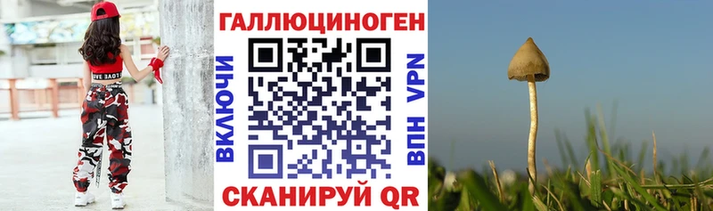 цены Светлогорск Галлюциногенные грибы мухоморы