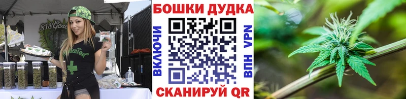 Бошки Шишки AK-47  ссылка на мегу как войти  Светлогорск  продажа наркотиков 